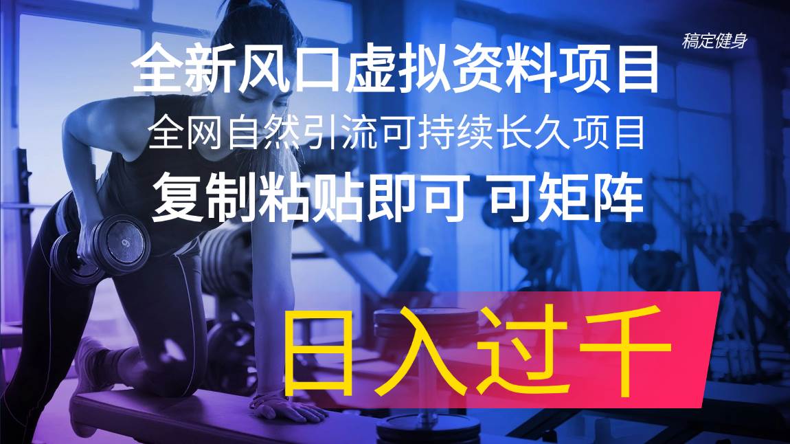 全新风口虚拟资料项目 全网自然引流可持续长久项目 复制粘贴即可可矩阵…-玖儿的学习笔记