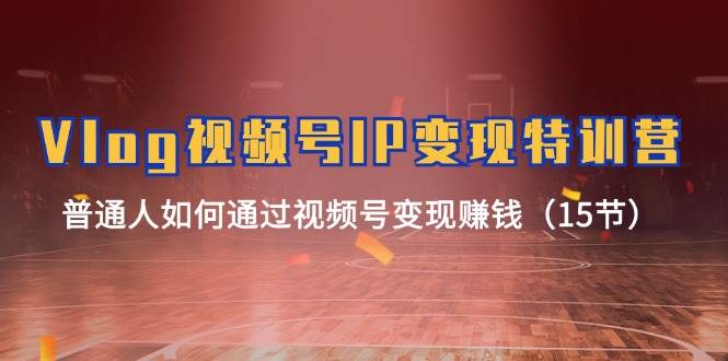 Vlog 视频号IP变现特训营，普通人如何通过视频号变现赚钱（15节）-玖儿的学习笔记